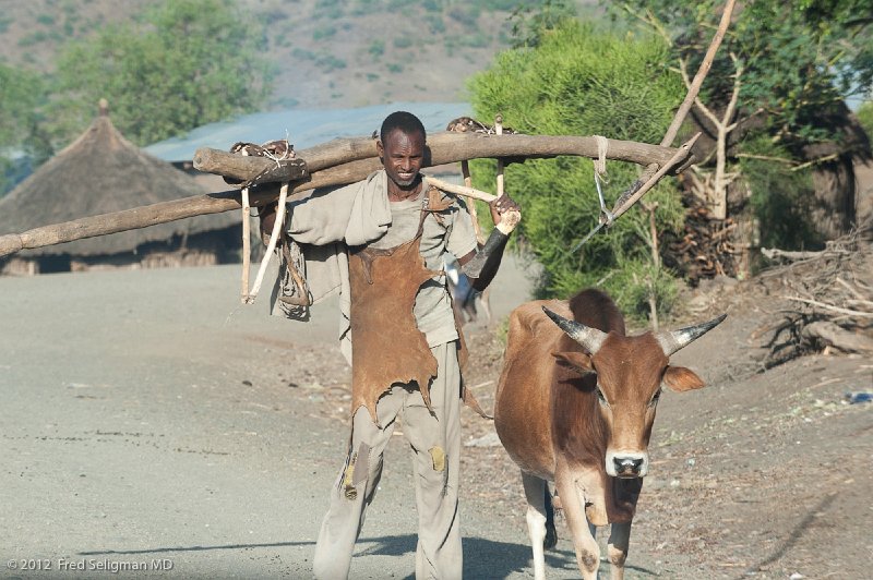 20120403_073450 Nikon D3 2x3.jpg - Farmer carrying his plow